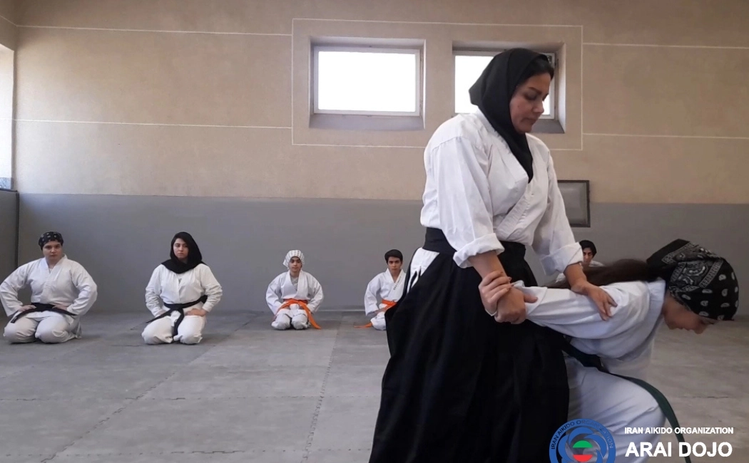 Central Martial Arts Federation Academy