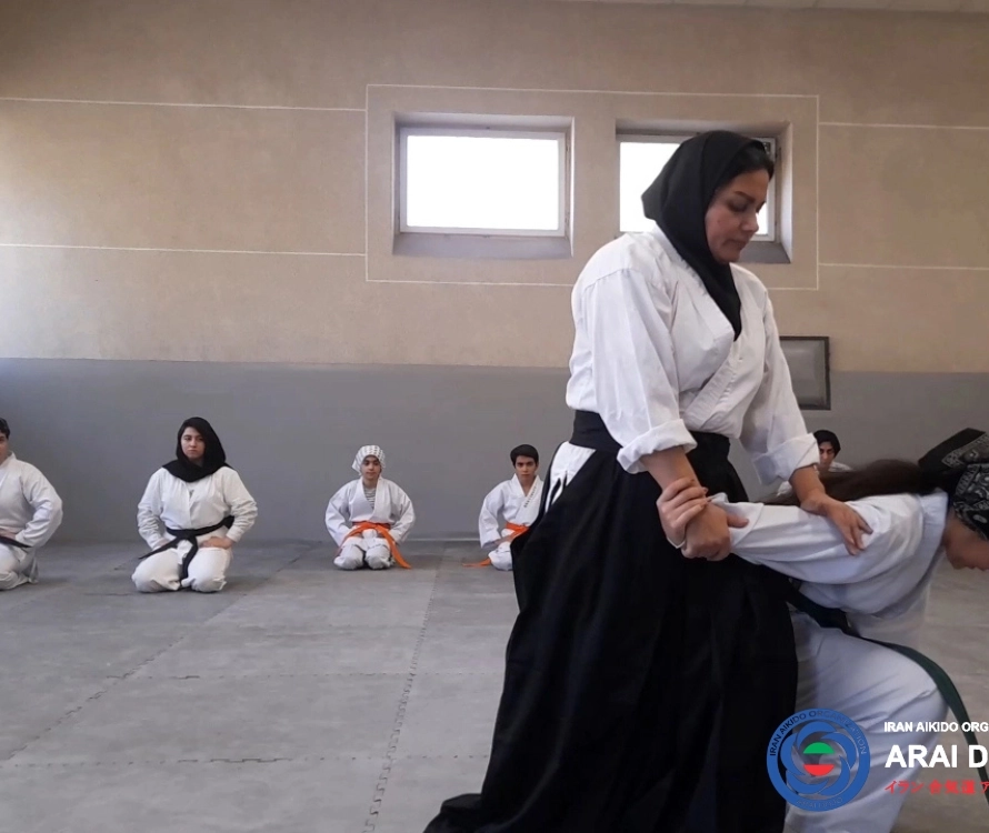 Central Martial Arts Federation Academy